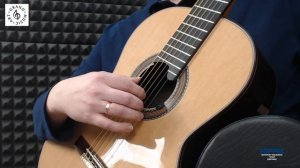 Ю. Алешников Постановка правой руки гитариста. Как защипывать струну..mp4