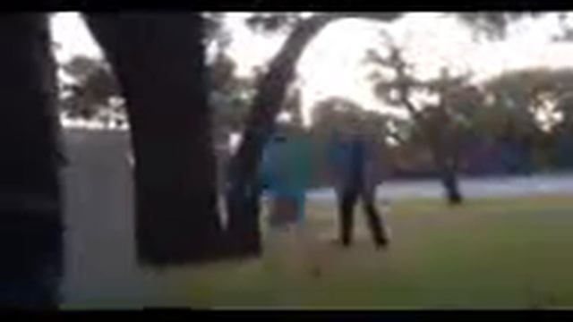 Tree Back Flip 2 смотреть онлайн