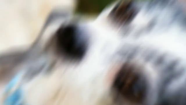 Эйвана больше нет😭😭😭