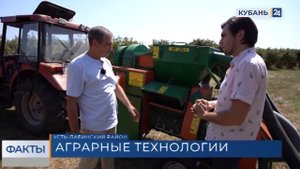 В Краснодарском крае начали осваивать инновационный метод сбора фундука