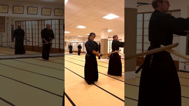 Mugai Ryu Kenjutsu-Going through our basics: Ukekaishi and Ukenagashi