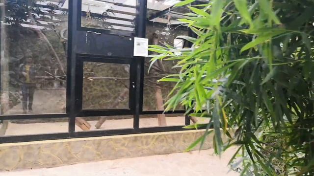 ПАРК ПТИЦ "ВОРОБЬИ". ТРОПИЧЕСКИЙ МИР. РЫБЫ РОССИИ. смотреть онлайн