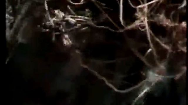 Кем өйрәтте? смотреть онлайн