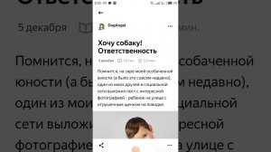 Аудио Хочу собаку! Ответственность