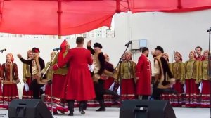 У голубя у сизого