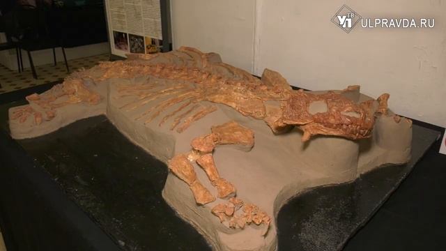 В краеведческом музее Ульяновска поселились тираннозавры и ихтиозавры