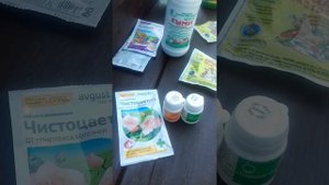Чёрная пятнистость и как с ней бороться.