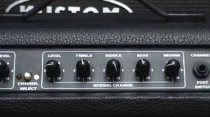 WASHBURN BAD DOG BD40R CLEAN SOUND BY CHATREEO