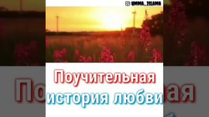Поучительная История любви, Шейх Чубак ажы
