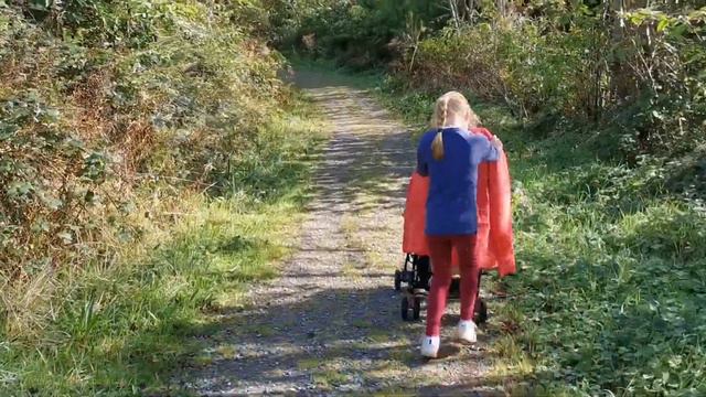 Castlefreke Forest, Ireland Кастлфрэк лес, Ирландия смотреть онлайн