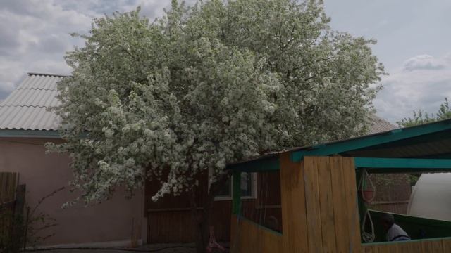 Семейный Влог Могойтуй смотреть онлайн