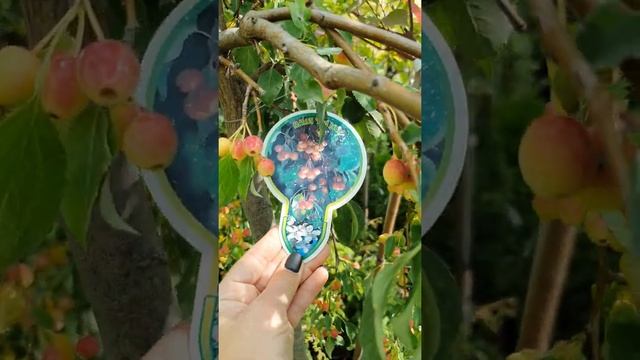 Яблоня декоративная. Плакучая форма. #яблоня  #яблонядекоративная