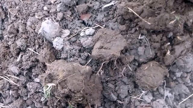 ВОТ ЭТО ХУТОРОК!!! СЕРЕБРЯНАЯ МЕДАЛЬ!!! смотреть онлайн