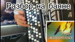 В МИРЕ ЖИВОТНЫХ (разбор на баяне)