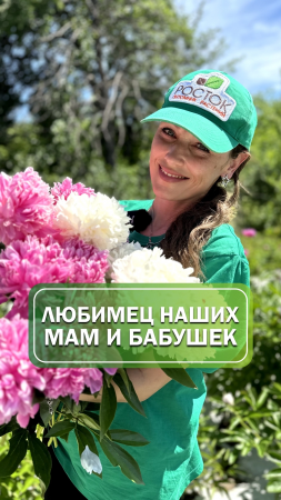 Самые ароматные пионы🌸 ТОП 3 #питомникрастений #пионы #саженцы