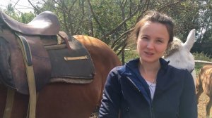 Насыщенное утро в деревне. Как себя чувствуют животные на новой ферме. Убираем рога козлятам. Лошади