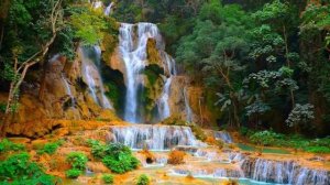 Волна Вознесения. Переход в пятое измерение.