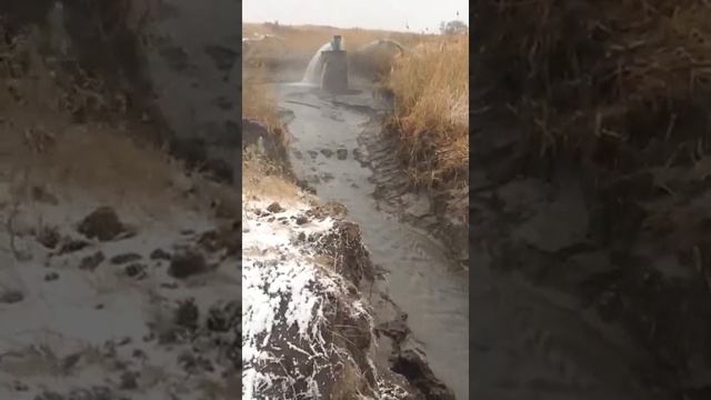 Павлодар железинский район село Михайловка