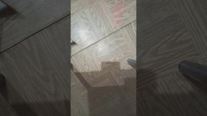 как сделать когти для дракона?