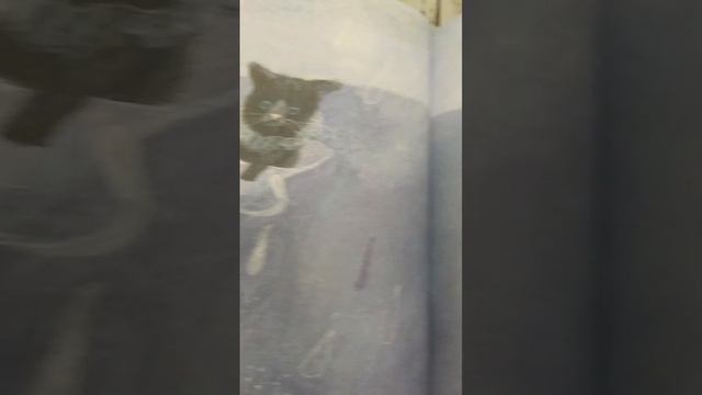 Наталья Шалошвили "Что нужно маленькой кошке"  Для детей от 0-3 лет. смотреть онлайн