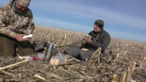 Охота на гуся 2023, две недели в полях ...