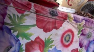 Агадир:идем в портовый ресторан (Марокко)