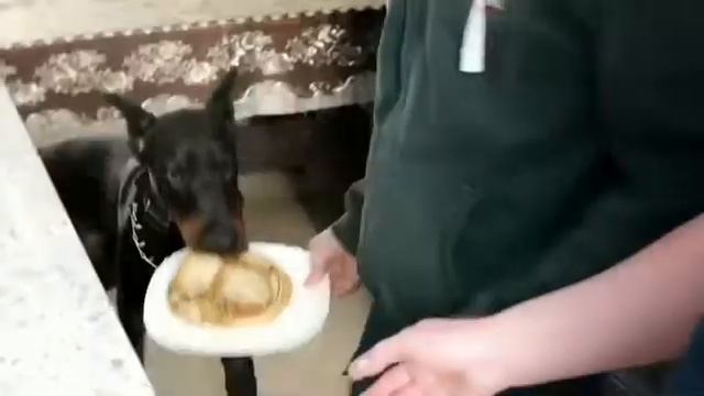 #масленица #блины #каквкусноибыстроприготовить #шок Масленица.Как ловко и быстро приготовить блины смотреть онлайн