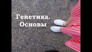 Генетика с нуля. Задачи по генетике. Подготовка к ЕГЭ