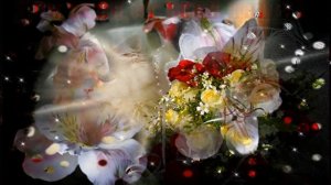 Эти цветы тебе!