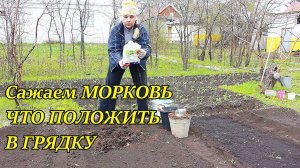 Сажаем морковь. что положить в грядку
