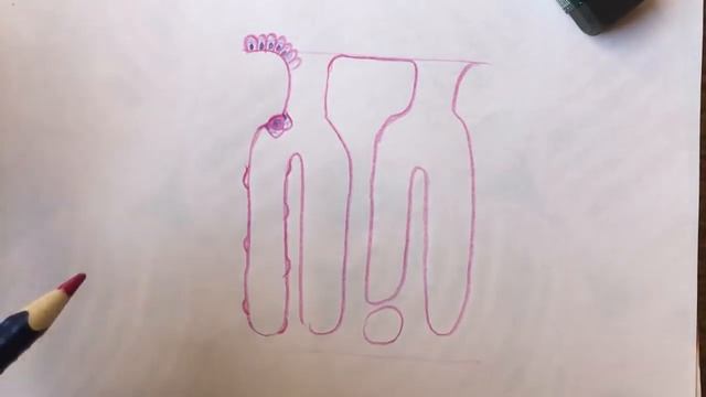 GIT Chapter Drawings (Histology) смотреть онлайн