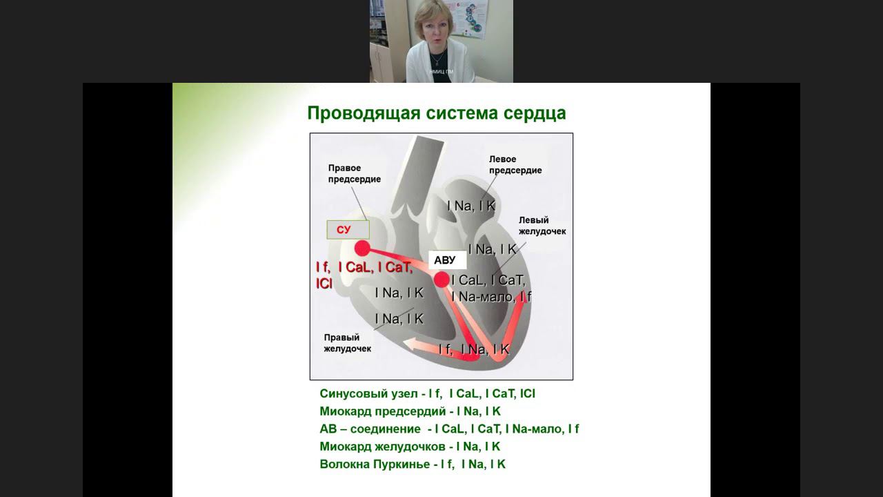 Подходы к современной профилактической антиаритмической терапии