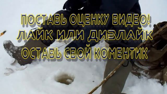 ПАНИРОВКА С ЧЕСНОКОМ или  ПАНИРОВКА С КОРИЦЕЙ! Что лучше на зимней рыбалке!?