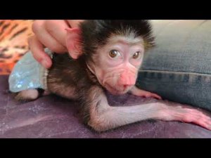 Люська получает релакс после массажа! Красиво жить НЕ ЗАПРЕТИШЬ