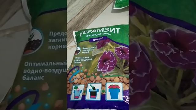 Фиаско инсектицидов! Прокаливание земли в духовке.  И наконец победа над уховерткой!!Землянике быть