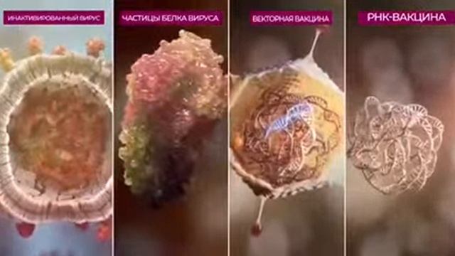 [05.07.2021] Как работает вакцина от коронавируса？ смотреть онлайн
