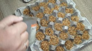 ЛУК  НА ПОДОКОННИКЕ-ВЫРАЩИВАЕМ ИГРАЮЧИСЬ..??☘