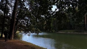 Парень спас дочь миллионера, а он рассмеялся ему в лицо и швырнул 100 долларов. Его ответ через год