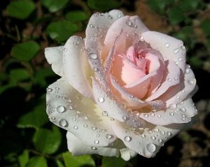 Самое Красивое Поздравления С Днем Рождения