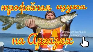 Трофей на Аргазях - Сом в РК Азарт