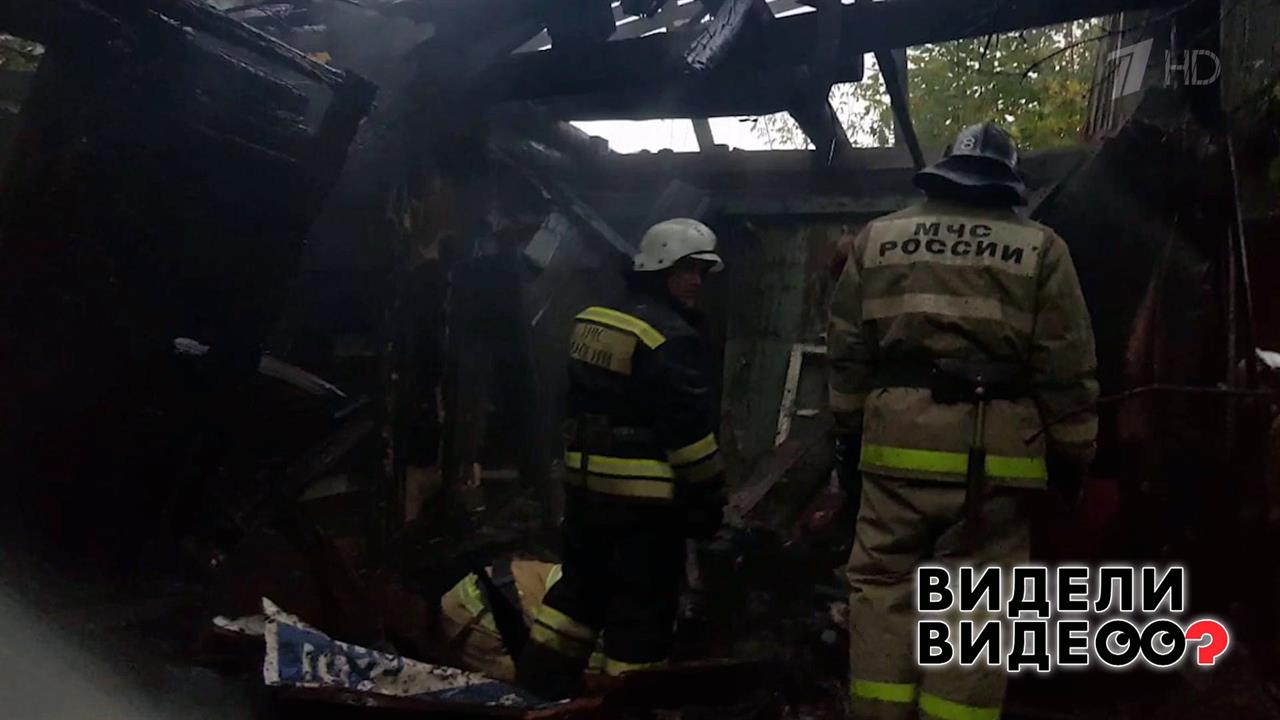 Щенки-погорельцы. Видели видео? Фрагмент выпуска от 16.06.2019