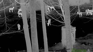 HIKMICRO LYNX PRO LH15 VS  HIKVISION LYNX