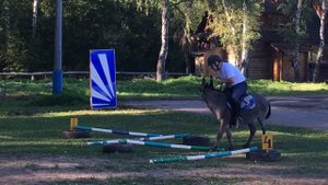 Соревнования по верховой езде на осле (Riding on a donkey)