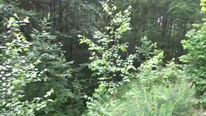 ПОХОД В ДИКУЮ ПРИРОДУ.ДИКИЕ МЕСТА РОССИИ.