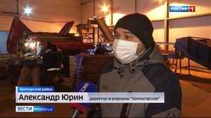 Холмогорский семенной картофель отправляется в разные уголки страны