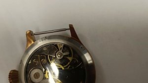 Molnija Black sea Pilot 3603