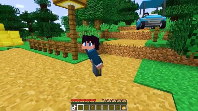 Using The TIKTOK MOD In Minecraft! смотреть онлайн