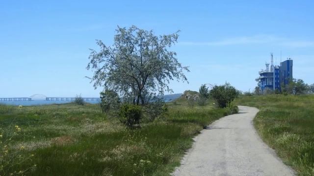 Поросло травой.Комсомолький парк удивил обилием травы. Синие цветы Крыма. смотреть онлайн