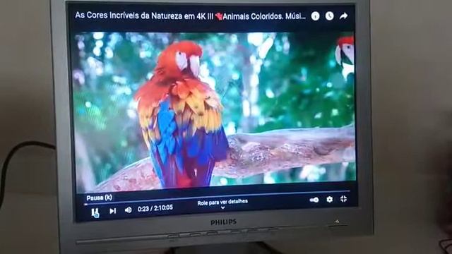 teste monitor Philips 150S смотреть онлайн