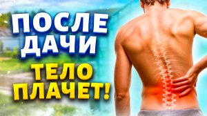 Боль в спине ушла за два часа. Простое средство от боли в колене, суставах, плече.